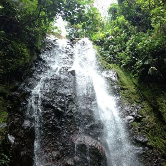 Meet your Posher, Pam - Picture 1 of 2